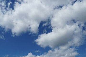 Fototapeta premium White fluffy clouds in the sky. Blue sky and cloud cover on a sunny summer day. Empty background, copy space