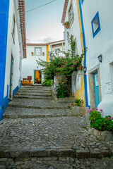 Fototapeta premium Cobblestone alley climbs between colorful houses adorned with vibrant bougainvillea, creating a charming scene in the medieval town of Obidos, portugal