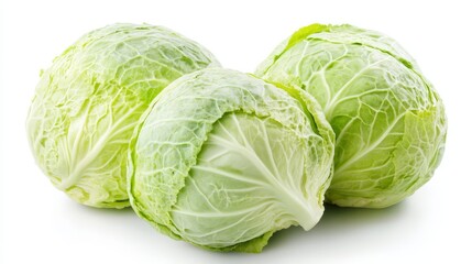 Obraz premium Three savoy cabbages displayed against a white background highlight their fresh, leafy texture