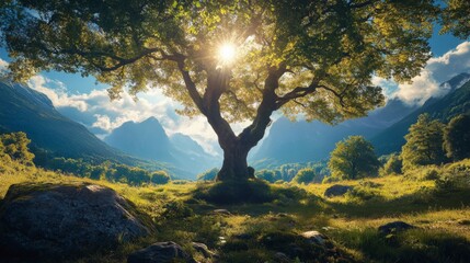 Fototapeta premium Majestic Tree in Sunlit Valley