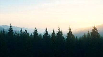 Obraz premium Misty Mountain Forest Sunrise