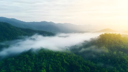 Obraz premium Misty Mountain Rainforest Sunrise