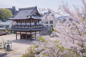 Fudoin Temple - Historic Buddhist Site in Hiroshima. Taken in Japan, Hiroshima, 10.04.2024.
