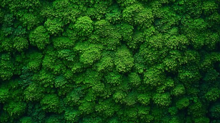 Vibrant Green Moss Wall: Nature's Lush Tapestry