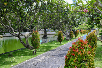 Path in the middle of a garden with lots of vegetation, Bali, Indonesia