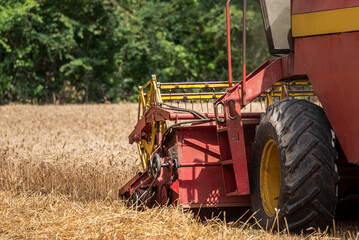 Close-up of the reel and cutting of the combine harvester