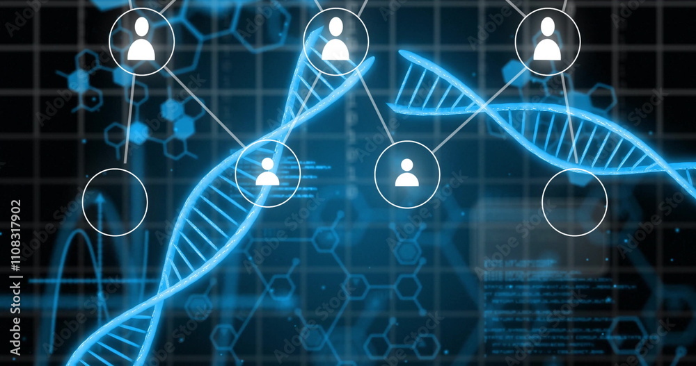 Poster image of people icons, connections and data processing over dna stands and binary coding