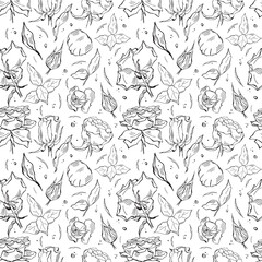 Fototapeta premium Black and white seamless vector pattern with roses, buds and leaves.