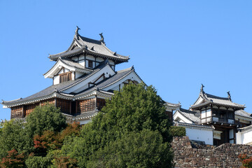 Fototapeta premium 福知山城