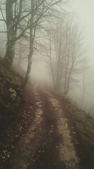 Fototapeta premium Dirt road that is surrounded by trees on a foggy day