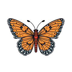 Fototapeta premium Colorful butterfly with orange wings resting on a white background