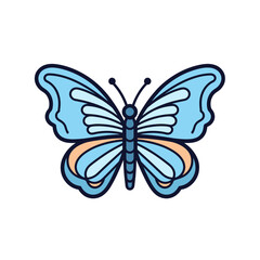 Colorful, intricate butterfly displayed