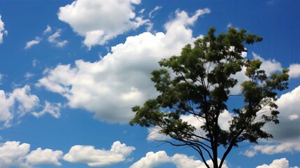 Obraz premium Tranquil Summer Landscape of Blue Sky and Green Trees Under Cloudy White Clouds