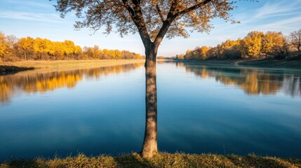 Obraz premium A serene riverside view featuring a solitary tree with autumn foliage reflecting in the calm water under a clear blue sky.