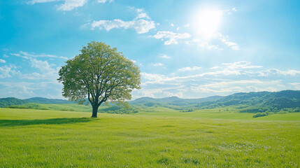 Obraz premium Blooming tree on green field in countryside 