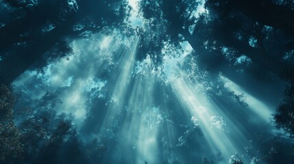 Fototapeta premium Sunbeams Illuminating a Dense Forest Canopy