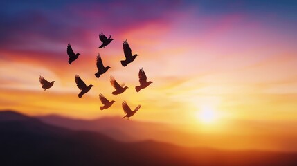 Obraz premium A flock of bird silhouettes flying in formation, captured at dawn.