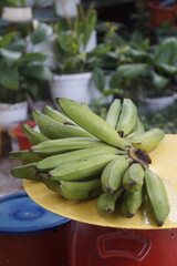 Plantain