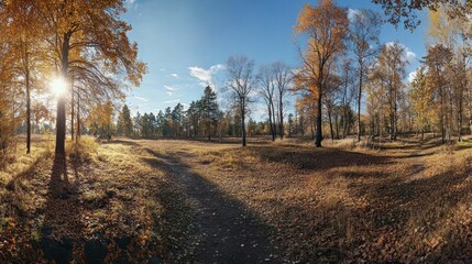 Fototapeta premium Autumn landscape with vibrant foliage and sunlight