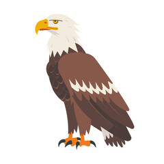 Obraz premium Majestic eagle standing proudly with sharp gaze and detailed plumage