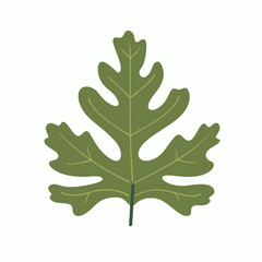 Fototapeta premium Green leaf with distinctive shape isolated on white background showcasing natural beauty