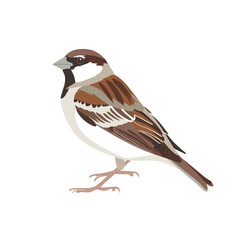 Naklejka premium Sparrow perched on a branch showcasing its detailed plumage in a natural habitat