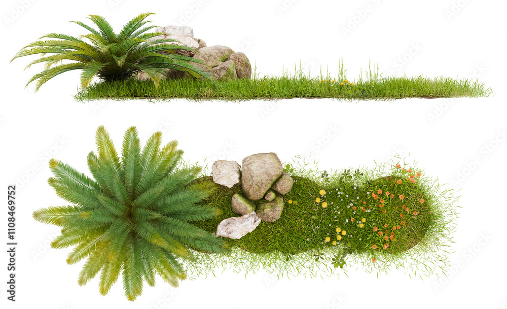 Poster png collection grass group top view and row, 3d illustration rendering