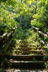 はやま三ヶ岡山緑地ハイキングコース