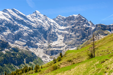 The Swiss Alps at Murren, Switzerland. Jungfrau Region. The valley of Lauterbrunnen from Interlaken.