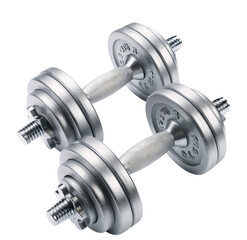 Fototapeta premium Pair of dumbell isolated on white background