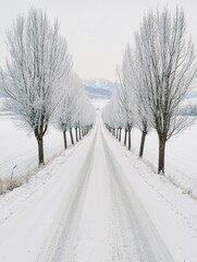 Obraz premium Serene Winter Landscape with Snow-Covered Road and Frosty Trees Creating a Tranquil Path in a Peaceful Setting Surrounded by Mountains and White Snow
