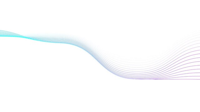 white abstract line circular gradient blue purple wave background footage animation