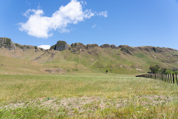 Obraz premium Craggy Range hills form backdrop to green slopes and fields in Hawkes Bay