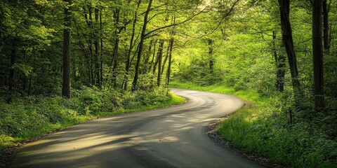 Fototapeta premium A winding road snaking into a dense forest, vibrant green foliage, dramatic shadows, light beams filtering through the canopy, serene natural beauty