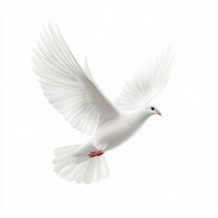 Obraz premium a flying white dove of peace isolated on white background --v 6.1 Job ID: b8de6e6f-69da-4f4e-b42c-27de1d60d7ba