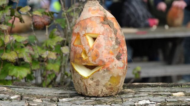 Funny looking turnip head