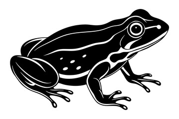 Naklejka premium Beautiful frog on white background vector art illustration