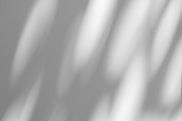 Wall interior background, studio and backdrops show products.with shadow from window color white and grey. background for text insertion and presentation product	