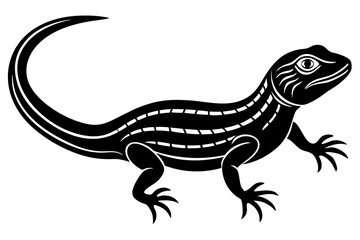 Naklejka premium Beautiful lizard on white background vector illustration