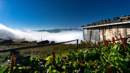The Black Sea plateaus offer eye-catching views with their high mountain meadows. &Ccedil;aykara, Trabzon, T&uuml;rkiye