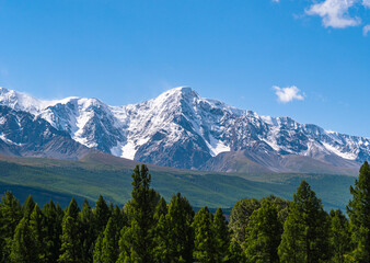 Obraz premium Majestic snow-capped mountains tower over serene green forest under bright blue sky