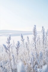 Frosty grasses stand tall in a tranquil winter scene, with snowy hills and a clear blue sky.