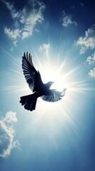 Fototapeta premium A bird is flying in the sky with the sun shining on it. The bird is black and white