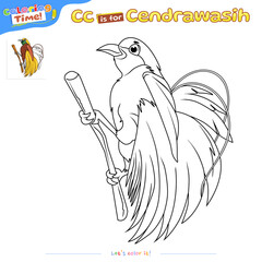 Coloring Page Cendrawasih or bird of paradise