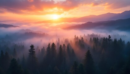Obraz premium Majestic Sunrise Over Misty Forests: A Breathtaking Landscape of Trees and Mountains Illuminated by Golden Light