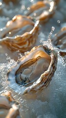 many oysters with wavy splashes of water is photographed as a water splash blows over the oyster, in the style of light beige and sky-blue,