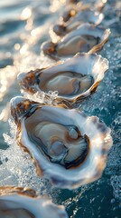 many oysters with wavy splashes of water is photographed as a water splash blows over the oyster, in the style of light beige and sky-blue,