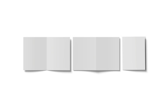 Bifold Mockup on White Background