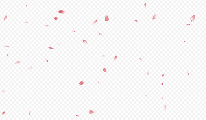 2880x1680grd-09__Pudra_sakura2_01.eps