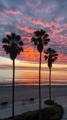 Stunning Sunset Over Palm-Lined Beach with Vibrant Sky Reflections